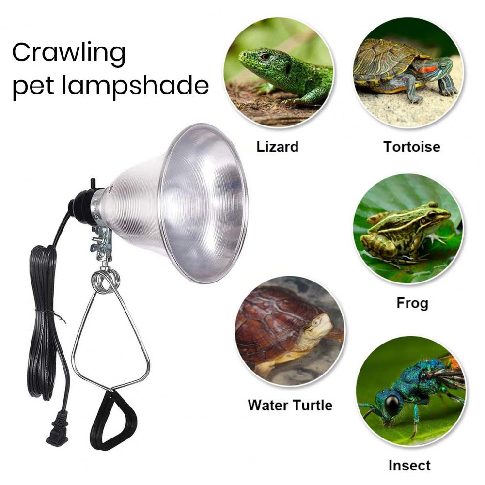 Abażur do lampy stołowej, lamp – Photography Lighting Workshops recenzja i cena